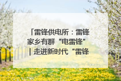 雷锋供电所：雷锋家乡有群“电雷锋”｜走进新时代“雷锋传人 长沙榜样”