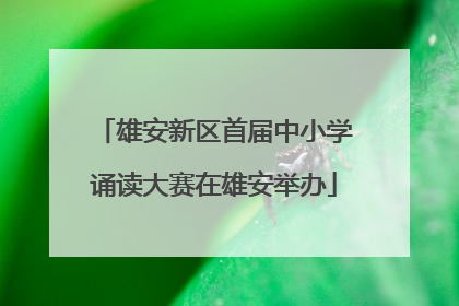雄安新区首届中小学诵读大赛在雄安举办