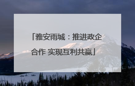 雅安雨城：推进政企合作 实现互利共赢