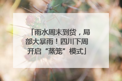 雨水周末到货，局部大暴雨！四川下周开启“蒸笼”模式