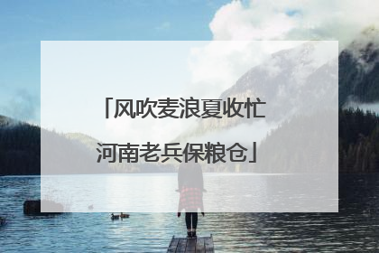 风吹麦浪夏收忙 河南老兵保粮仓