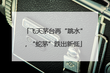 飞天茅台再“跳水”，“蛇茅”跌出新低