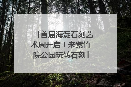 首届海淀石刻艺术周开启！来紫竹院公园玩转石刻