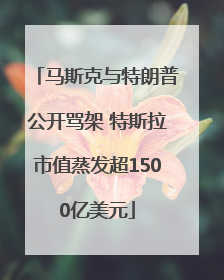 马斯克与特朗普公开骂架 特斯拉市值蒸发超1500亿美元