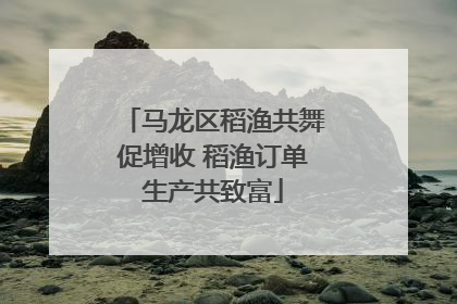 马龙区稻渔共舞促增收 稻渔订单生产共致富