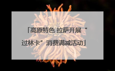 高原特色 拉萨开展“过林卡”消费满减活动