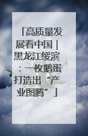 高质量发展看中国｜黑龙江绥滨：一枚鹅蛋打造出“产业图腾”