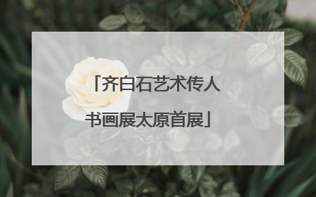 齐白石艺术传人书画展太原首展