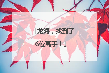 龙海，找到了6位高手！