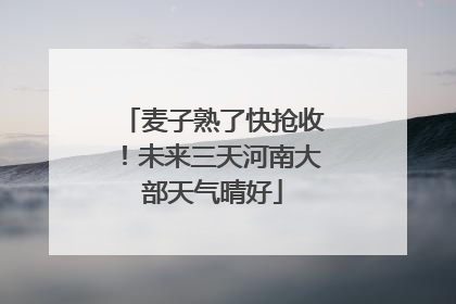 麦子熟了快抢收！未来三天河南大部天气晴好