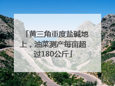 黄三角重度盐碱地上，油菜测产每亩超过180公斤