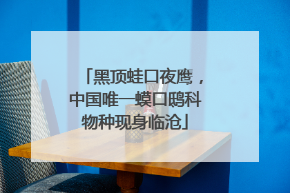 黑顶蛙口夜鹰，中国唯一蟆口鸱科物种现身临沧