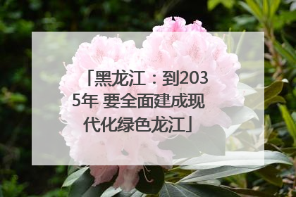 黑龙江：到2035年 要全面建成现代化绿色龙江