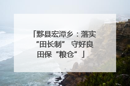 黟县宏潭乡：落实“田长制” 守好良田保“粮仓”