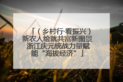 （乡村行·看振兴）新农人绘就共富新图景 浙江庆元统战力量赋能“海拔经济”