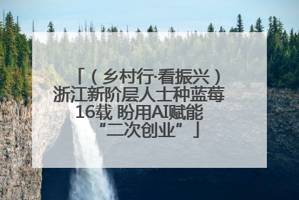 （乡村行·看振兴）浙江新阶层人士种蓝莓16载 盼用AI赋能“二次创业”
