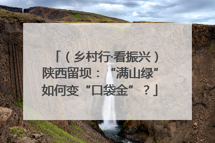 （乡村行·看振兴）陕西留坝：“满山绿”如何变“口袋金”？