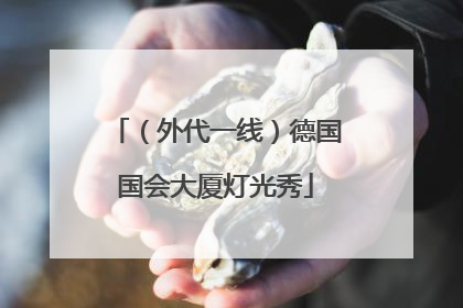 （外代一线）德国国会大厦灯光秀