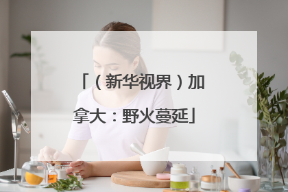 （新华视界）加拿大：野火蔓延