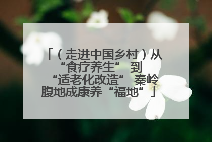 （走进中国乡村）从 “食疗养生” 到 “适老化改造” 秦岭腹地成康养“福地”