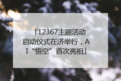 12367主题活动启动仪式在济举行，AI“悟空”首次亮相