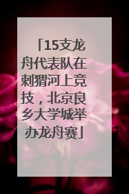 15支龙舟代表队在刺猬河上竞技，北京良乡大学城举办龙舟赛