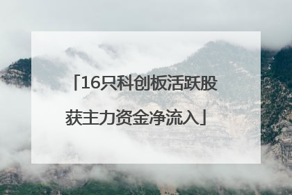 16只科创板活跃股获主力资金净流入