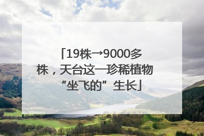 19株→9000多株，天台这一珍稀植物“坐飞的”生长