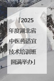 2025年度湖北省中医药适宜技术培训班圆满举办