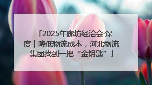 2025年廊坊经洽会·深度｜降低物流成本，河北物流集团找到一把“金钥匙”