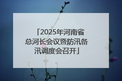 2025年河南省总河长会议暨防汛备汛调度会召开