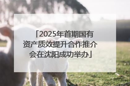 2025年首期国有资产质效提升合作推介会在沈阳成功举办