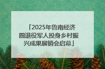 2025年鲁南经济圈退役军人投身乡村振兴成果展销会启幕