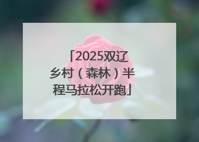 2025双辽乡村（森林）半程马拉松开跑