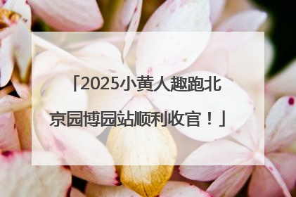 2025小黄人趣跑北京园博园站顺利收官！
