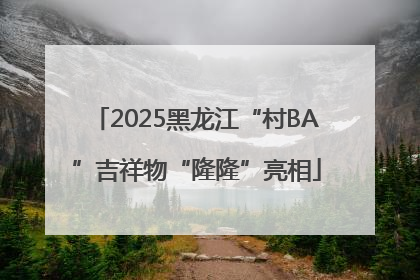2025黑龙江“村BA”吉祥物“隆隆”亮相