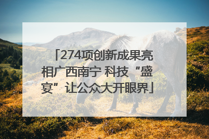 274项创新成果亮相广西南宁 科技“盛宴”让公众大开眼界
