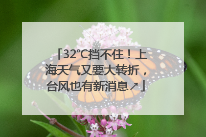 32℃挡不住！上海天气又要大转折，台风也有新消息↗