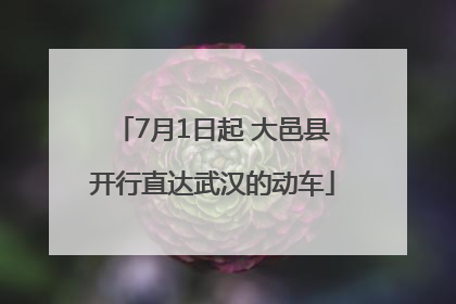 7月1日起 大邑县开行直达武汉的动车