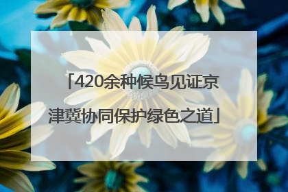 420余种候鸟见证京津冀协同保护绿色之道
