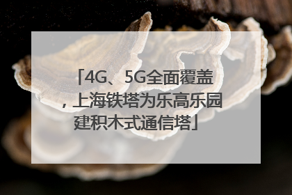 4G、5G全面覆盖，上海铁塔为乐高乐园建积木式通信塔