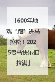 600年地戏“跑”进马拉松！2025贵马快乐值拉满