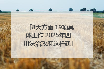 8大方面 19项具体工作 2025年四川法治政府这样建