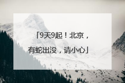 9天9起！北京，有蛇出没，请小心