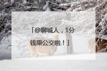 @聊城人，1分钱乘公交啦！