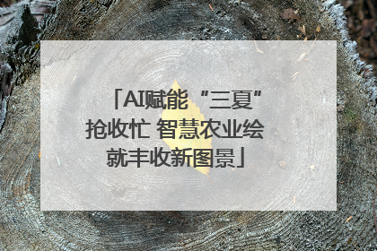 AI赋能“三夏”抢收忙 智慧农业绘就丰收新图景