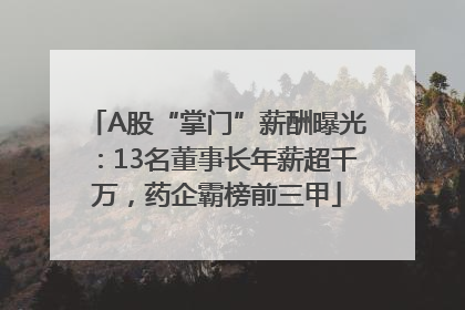 A股“掌门”薪酬曝光：13名董事长年薪超千万，药企霸榜前三甲