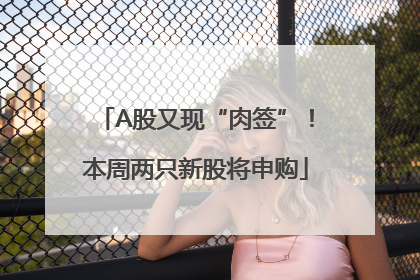 A股又现“肉签”！本周两只新股将申购