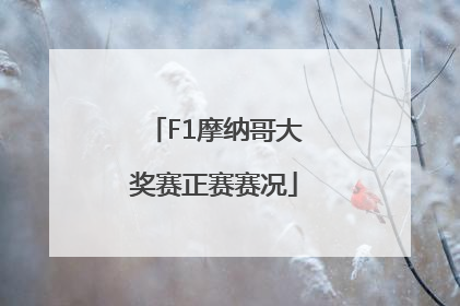 F1摩纳哥大奖赛正赛赛况