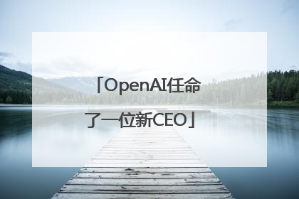 OpenAI任命了一位新CEO